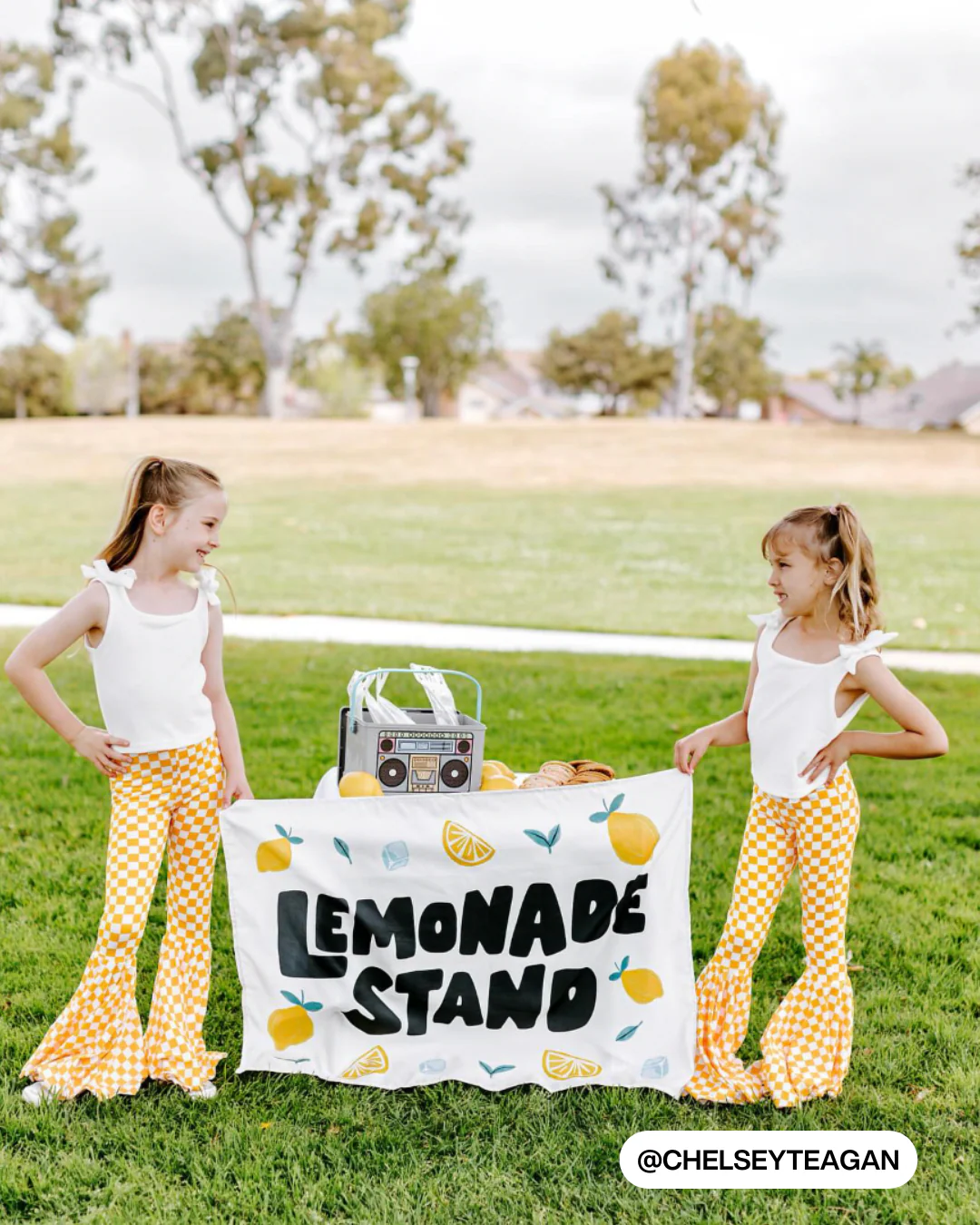 Lemonade Stand Banner - Image 2