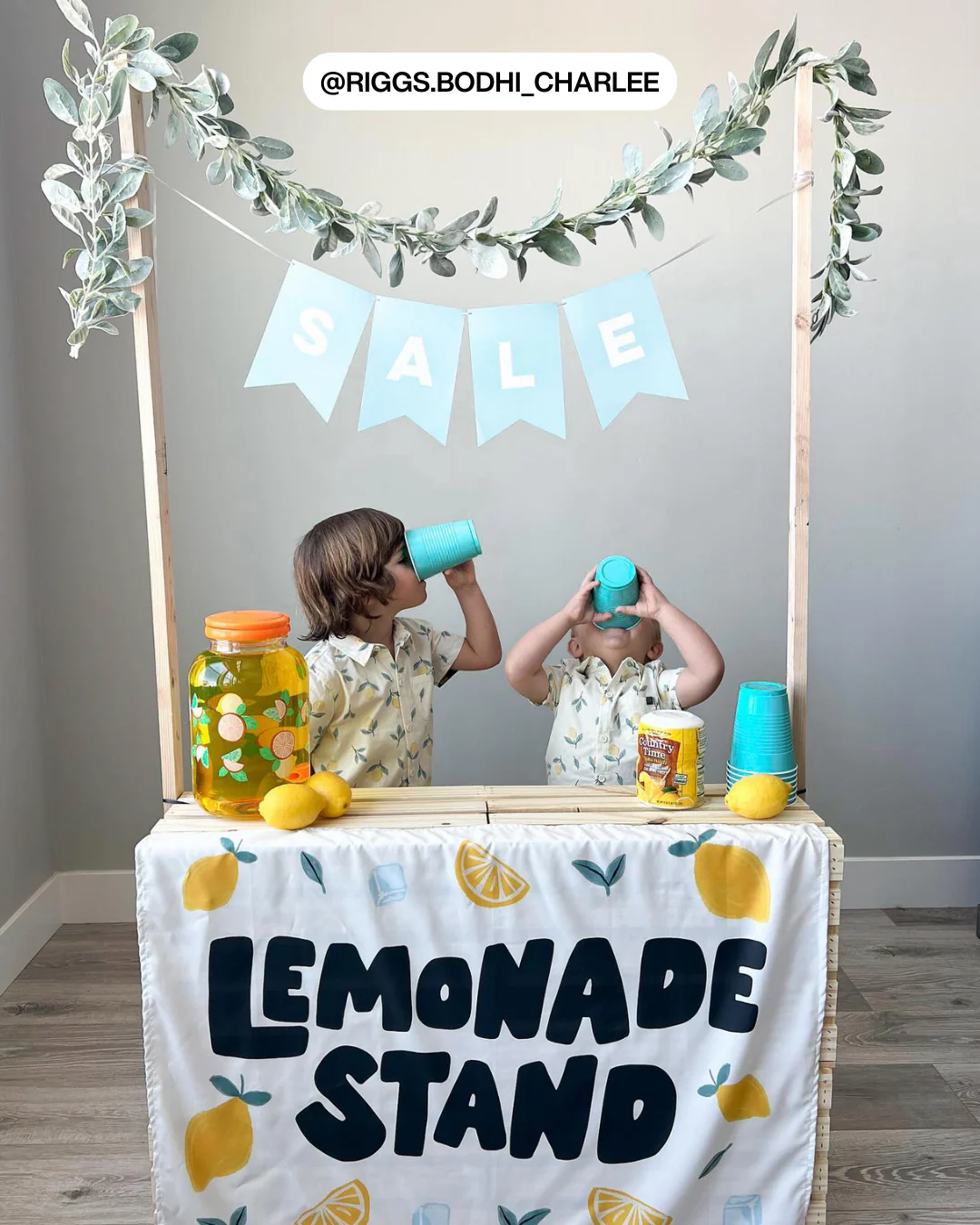 Lemonade Stand Banner - Image 4