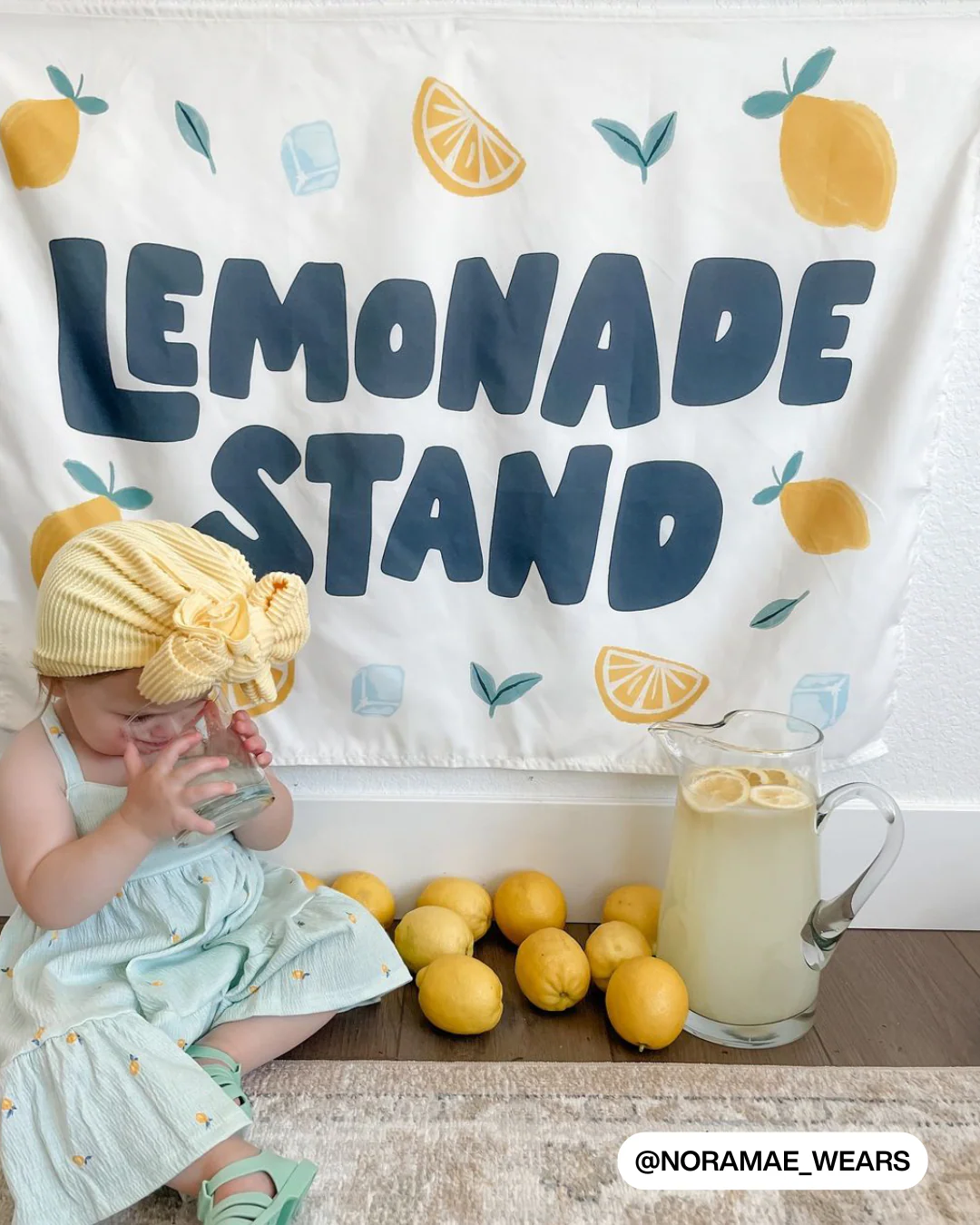 Lemonade Stand Banner - Image 7