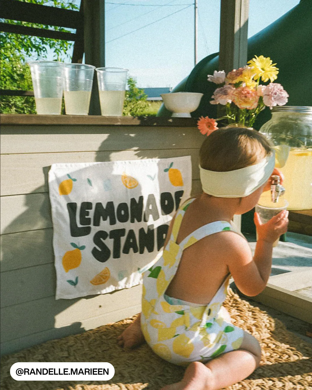 Lemonade Stand Banner - Image 8