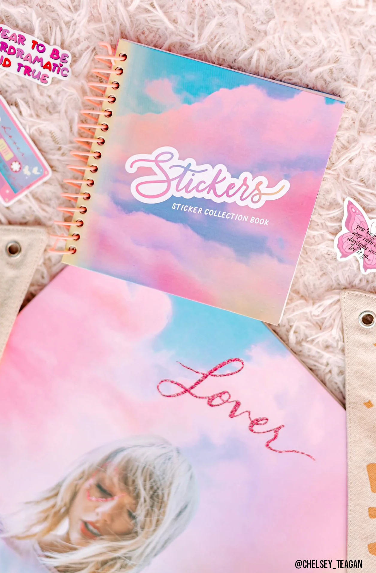 TS Lover Sticker Collection Book - Image 9